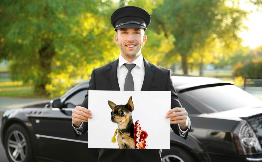 are pets allowed inside the limousine singapore
